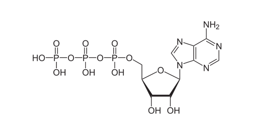 ATP