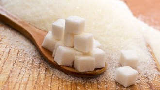 Sweet sleep aid? A new study showed that in mice, the presence of sugar in the brain encouraged them to fall  asleep faster — and to stay deeply asleep longer — than mice whose brains did not get that sweet boost.