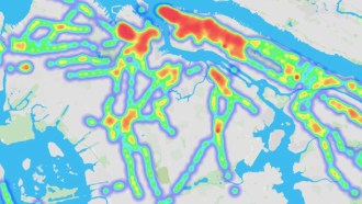 This is no normal subway map. It shows the types of microscopic organisms found at each New York City station.