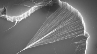 A forest of carbon nanotubes (top and right) is pulled into a cobweb-like sheet, then twisted into a yarn (bottom left).