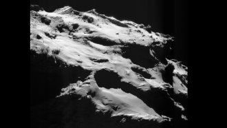 Rosetta comet
