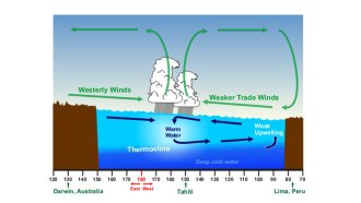Normally, the temperature of the Pacific Ocean’s surface waters is about 7.8° Celsius (14° Fahrenheit) higher in the Western Pacific than the waters off South America. This is a result of the trade winds, which blow from east to west along the equator