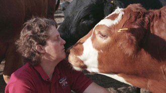 A photo of Temple Grandin with her face close to a brown and white cow's face