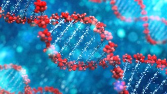 Long strands of DNA can contain many genes. We call a gene’s spot on a DNA molecule its locus.