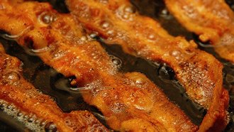 bacon
