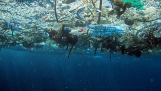 Plastic in the oceans is a growing problem. And it’s not just ugly: Plastic can kill many kinds of marine life.