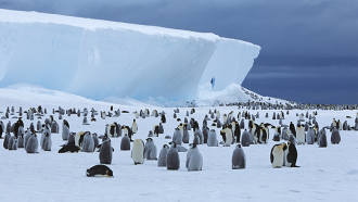 860_Antarctica_warms.png