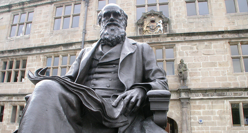 860_darwin_statue.png