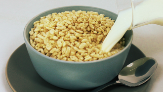 860_ricequakes_Cereal_Milk.png