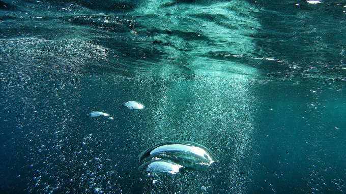 underwater, a froth of bubble rises toward the surface