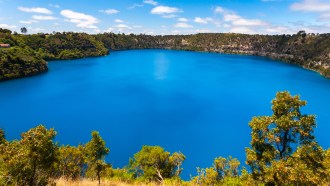 A clear blue lake in a forest