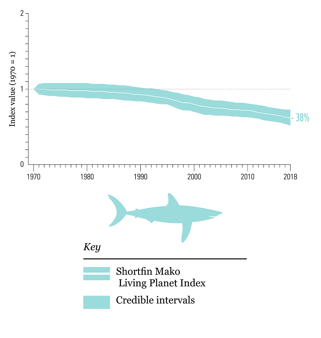 a graph showing the decline of the oceanic whitetip shark
