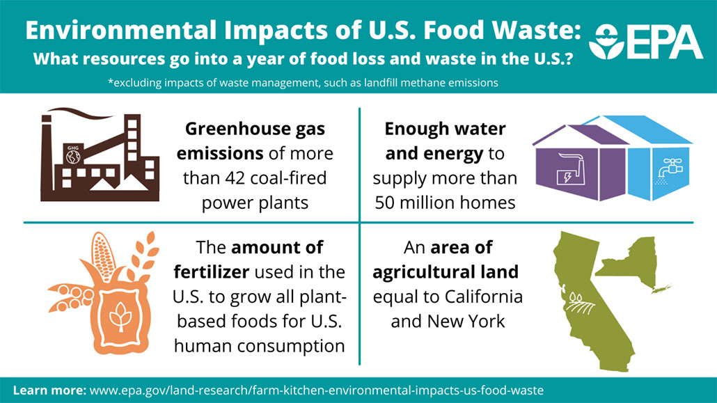 Environmental Impacts of U.S. Food Waste: What resources go into a year of food loss and waste in the U.S.? *excluding impacts of waste management, such as landfill methane emissions. Impacts include: greenhouse gas emissions of more than 42 coal-fired power plants; enough water and energy to supply more than 50 million homes; the amount of fertilizer used in the U.S. to grow all plant-based foods for U.S. human consumption; and an area of agricultural land equal to California and New York.