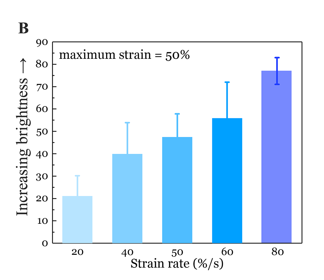 Graph B showing how the brightness level changed according to strain rate (the speed of the stretch)