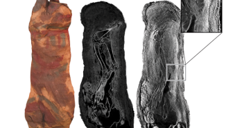An image showing the different kinds of scans taken of a mummified cat from ancient Egypt. The image on the left is a photo of the cat, the scan in the middle was taken by x-ray and the scan on the left was taken with neutron imaging. There is an inset showing details of the cloth wrappings.