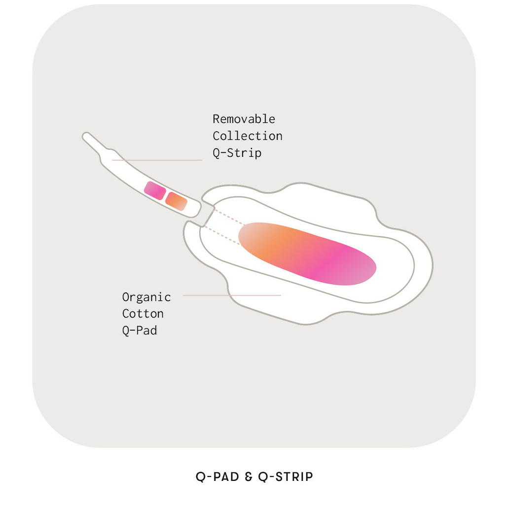 a diagram of a menstrual pad shows that a collection strip containing blood can be removed from the center of the pad for testing