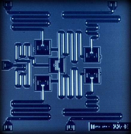 A photo of a quantum computing chip, showing the qubits the quantum computer uses in calculations.