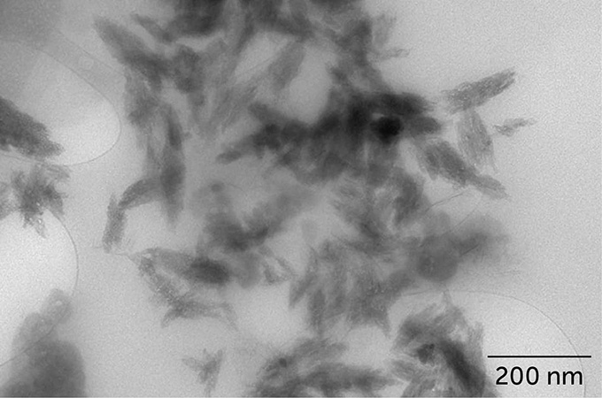 an image of microscopic shards of plastic found in a human brain, the bits of microplastics look jagged and sharp