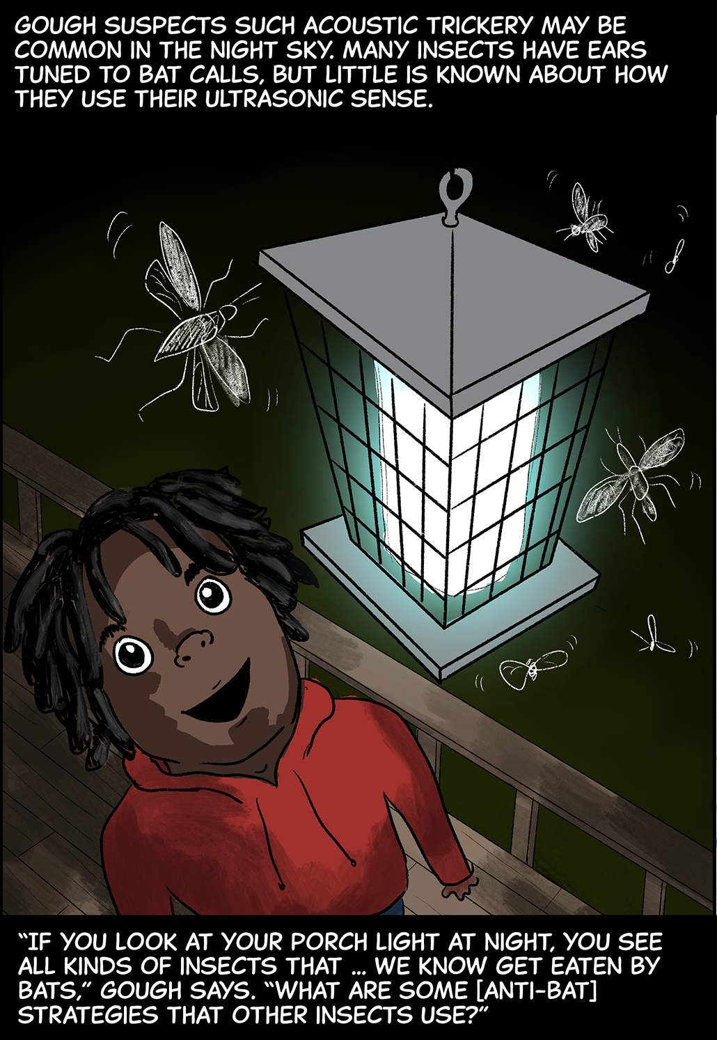 Text (above image): Gough suspects such acoustic trickery may be common in the night sky. Many insects have ears tuned to bat calls, but little is known about how they use their ultrasonic sense. Image: A kid wearing a red sweatshirt looks up at a glowing porch light at night, which is swarming with insects. Text (below image): “If you look at your porch light at night, you see all kinds of insects that…we know can get eaten by bats,” Gough says. “What are some [anti-bat] strategies that other insects use?” 