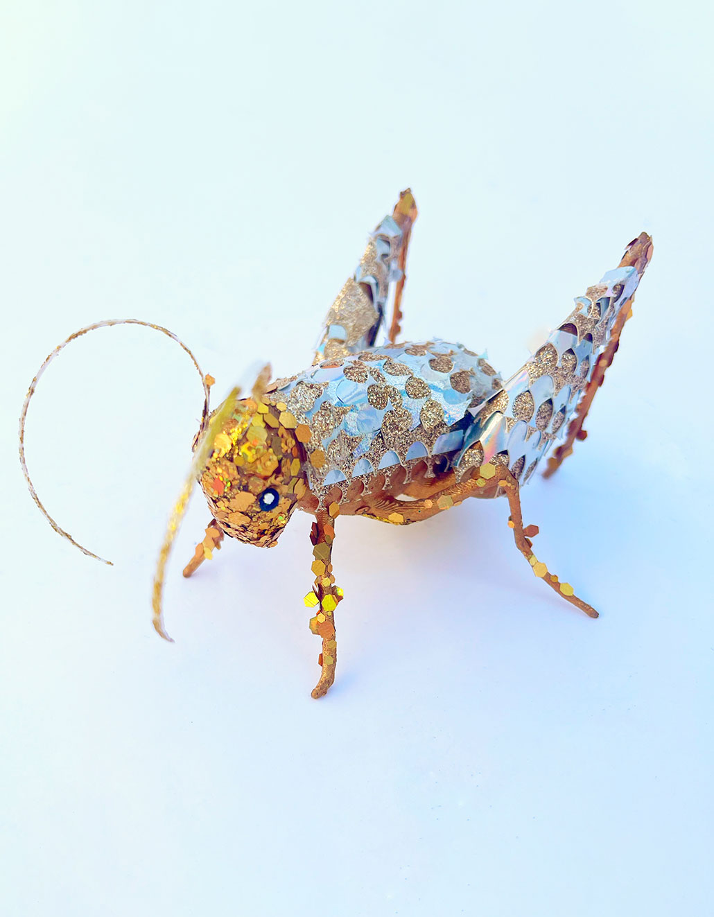 a Coachella Giant Sand Treader Cricket from the "Special Species" exhibit