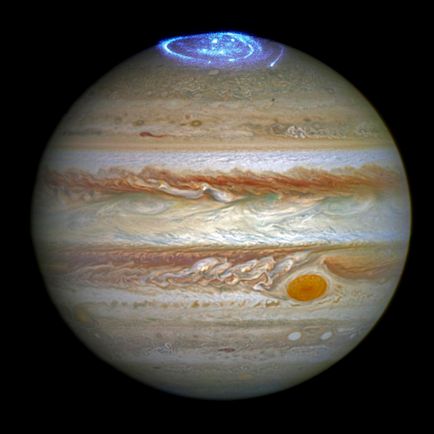 White, brown and reddish bands of clouds on the planet Jupiter. At the top of the image, narrow blue circles of light sit.
