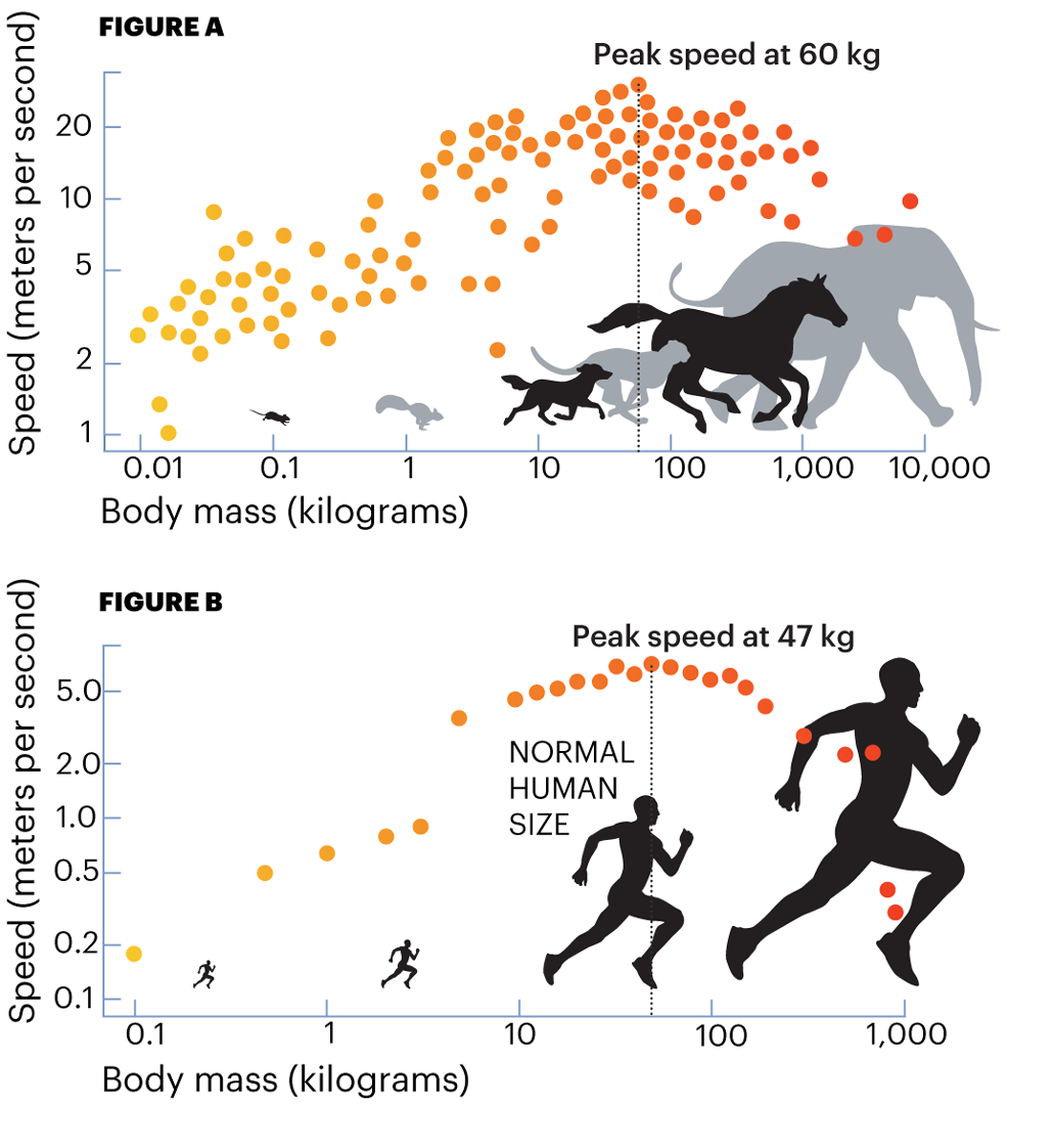 a graph showing how size and speed stack up for running animals