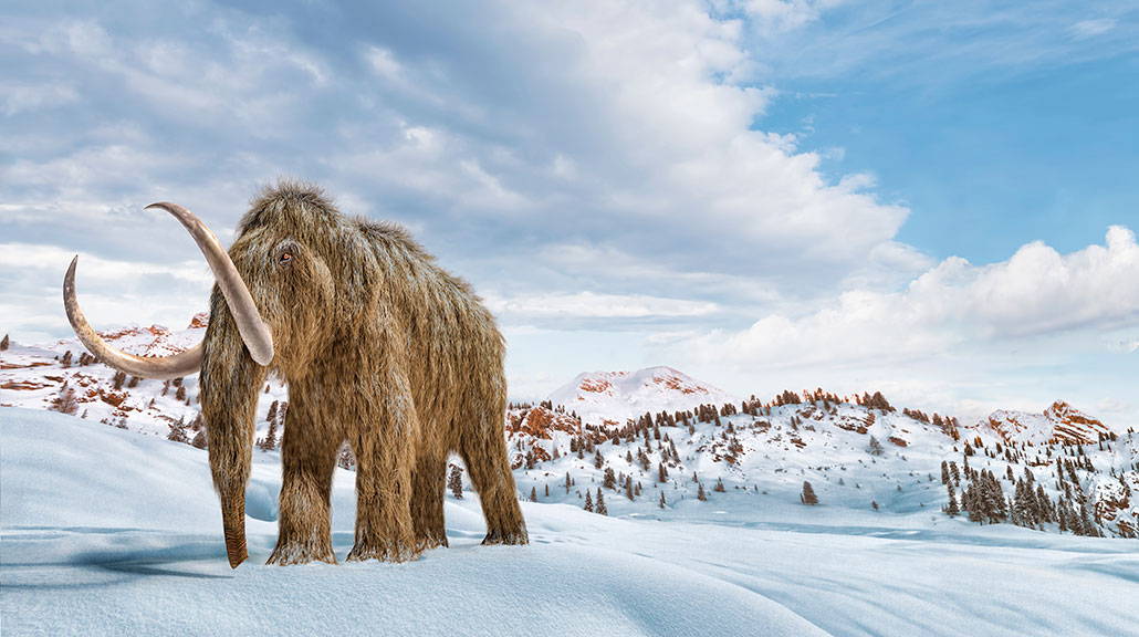 an illustration of a lone woolly mammoth on a snowy vista, the mammoth has enormous elephant like tusks and it's elephant-like body is covered in thick shaggy fur
