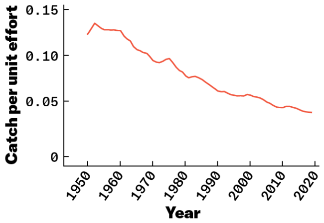 A line graph shows a decline in "catch per unit effort" from 1950 to 2019