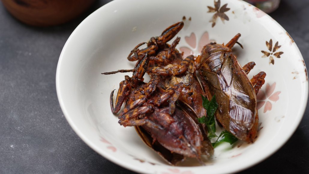 a plate of deep-fried giant water bugs with a green garnish