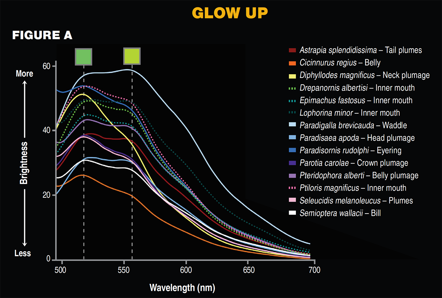a graph plotting the glow of different species of birds