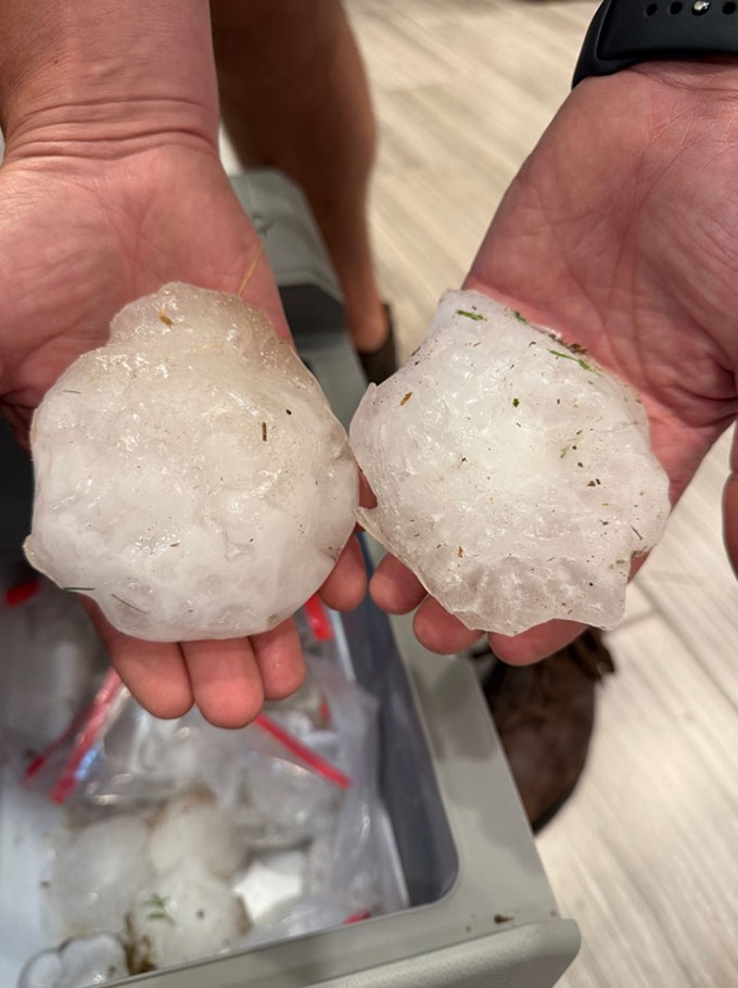 two hands showing bumpy balls of hail that take up almost the whole palm of each hand