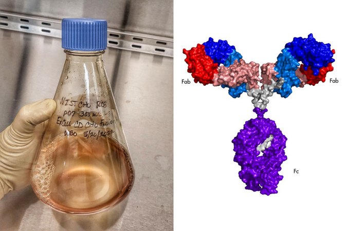 On the left a flask full of cells of the NISTCHO cell line, on the right an illustration of the molecular structure of the monoconal antibody